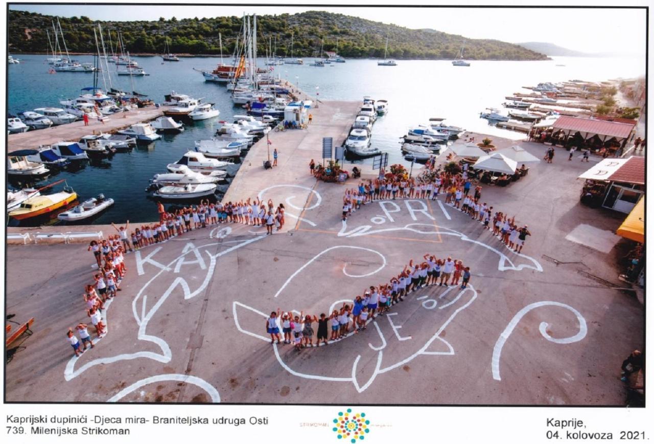 Apartmani Vukovic Kaprije Exteriér fotografie